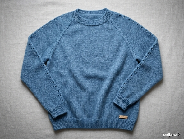 Generated preview image for Simple Raglan Pullover with Sleeve Eyelets