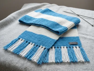Stitch chart guide image for Biancoceleste Lazio Fan Scarf